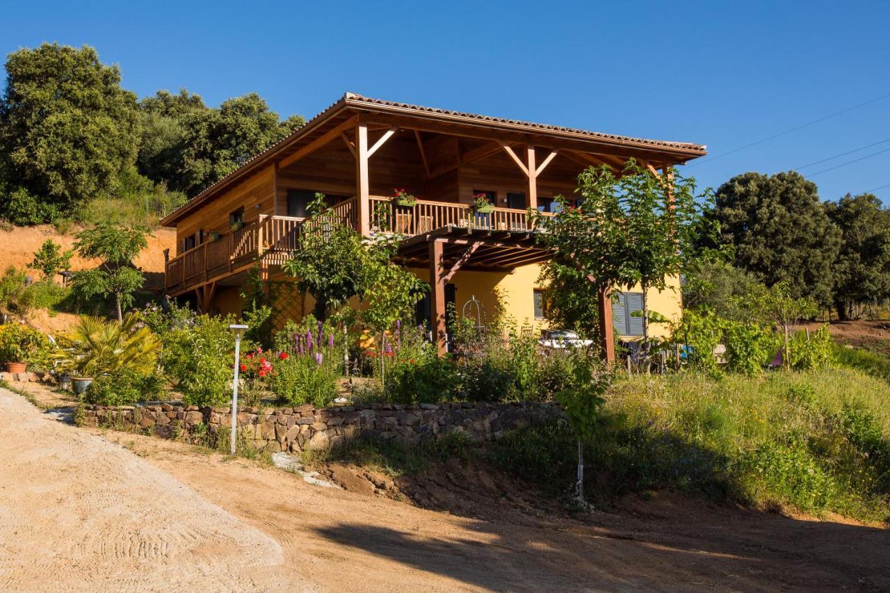 U Me Sognu Villa Arbellara Exteriör bild